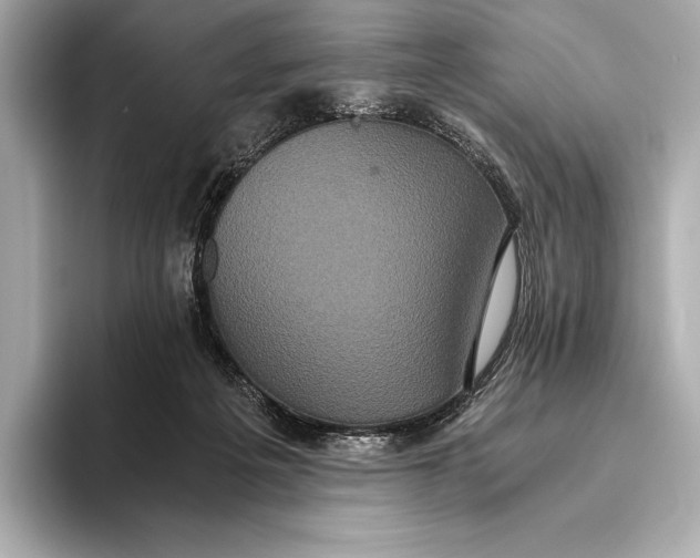 X0000093530217200711021316