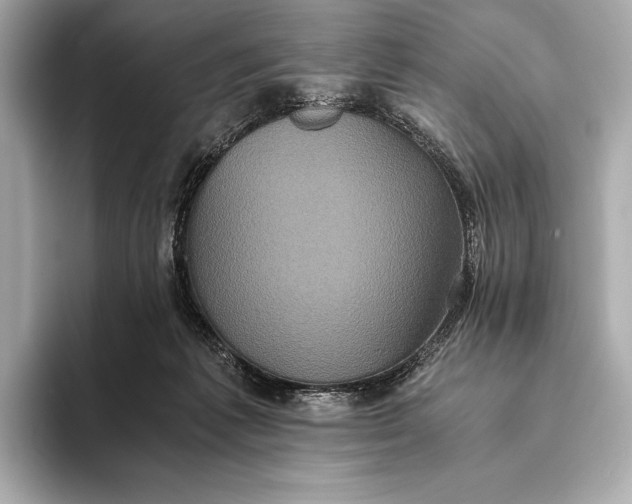 X0000093530221200711021316