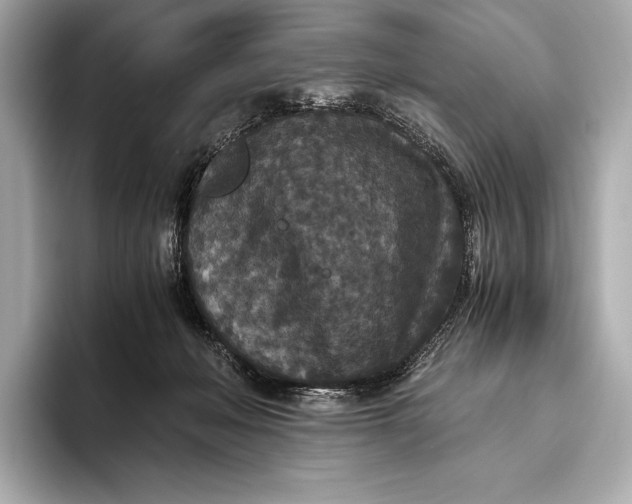 X0000093530222200711021316