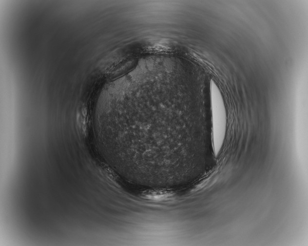 X0000093530223200711021316