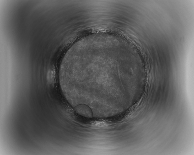 X0000093530224200711021316