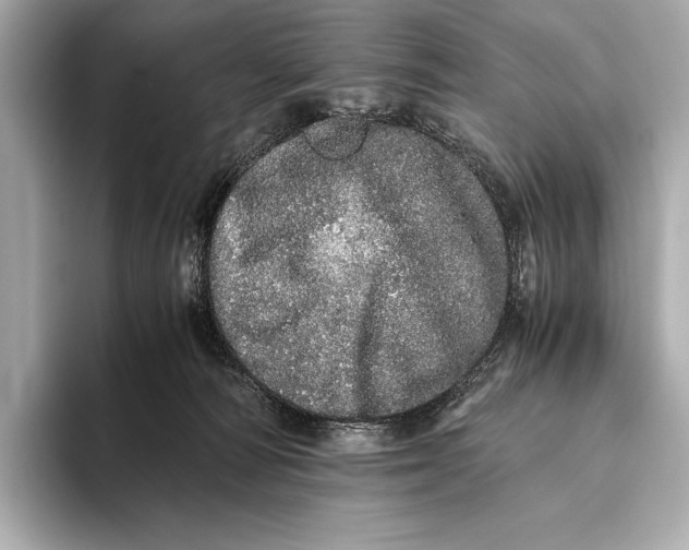 X0000093530226200711021316