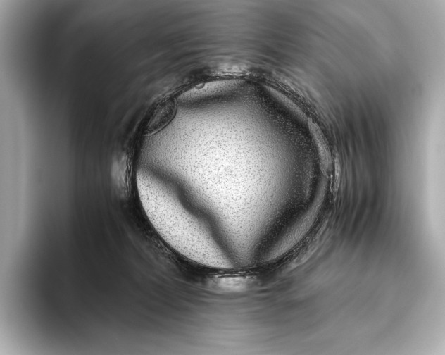 X0000093530228200711021316