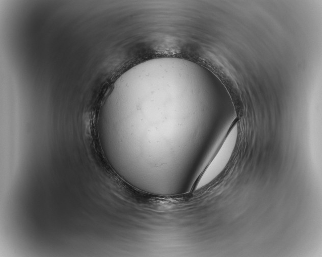 X0000093530229200711021316