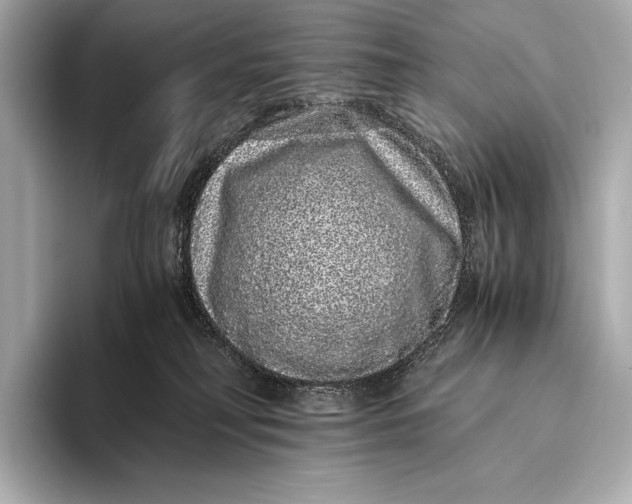 X0000093530230200711021316