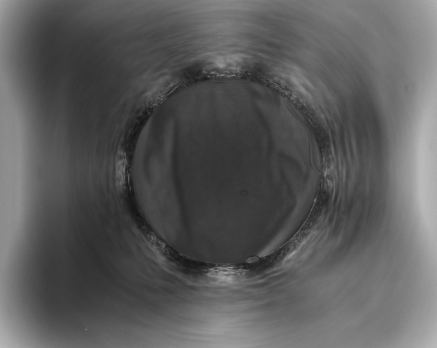 X0000093530231200711021316