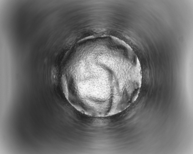 X0000093530234200711021316