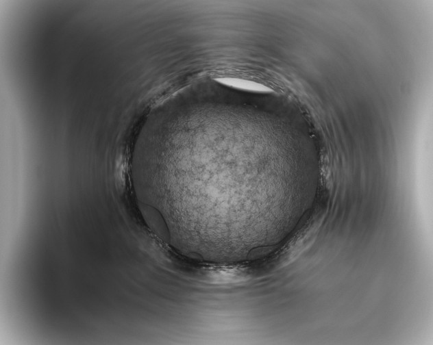 X0000093530235200711021316