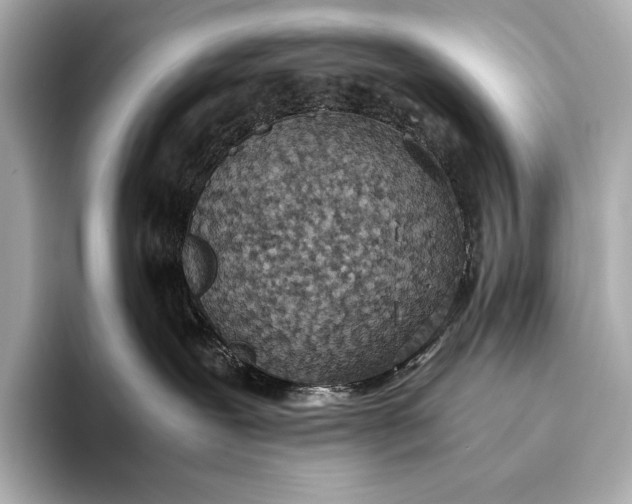 X0000093530239200711021316