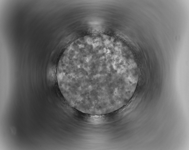 X0000093530240200711021316