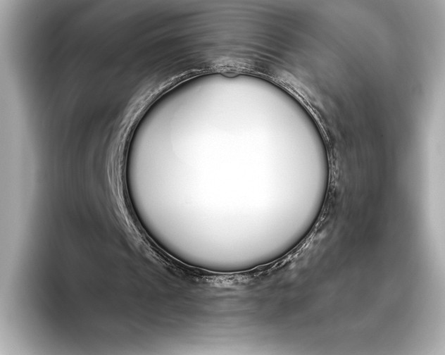 X0000093530241200711021315