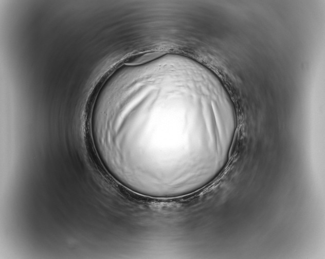 X0000093530242200711021315