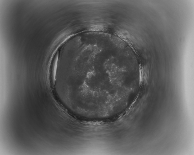 X0000093530243200711021315