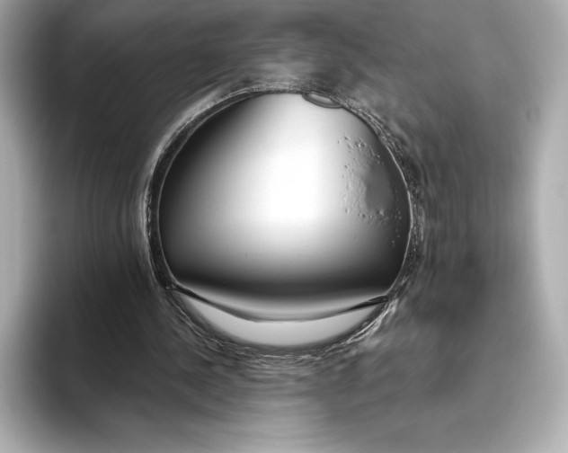 X0000093530244200711021315