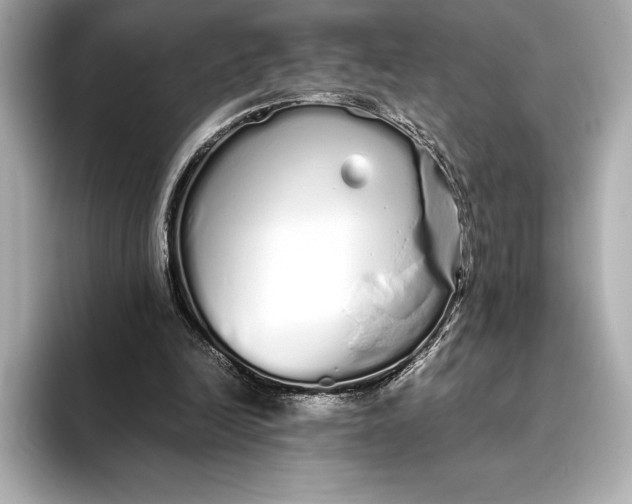 X0000093530246200711021315