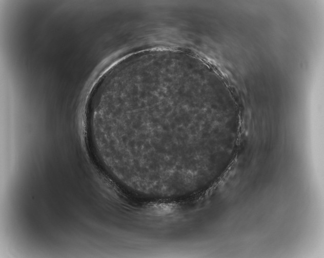 X0000093530247200711021315