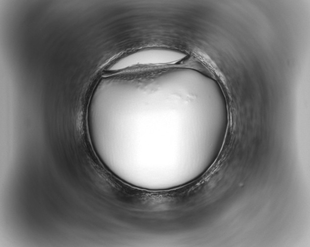 X0000093530249200711021315