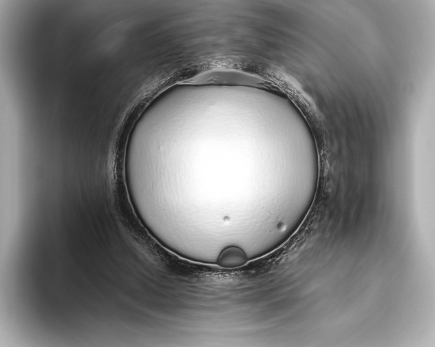 X0000093530250200711021315