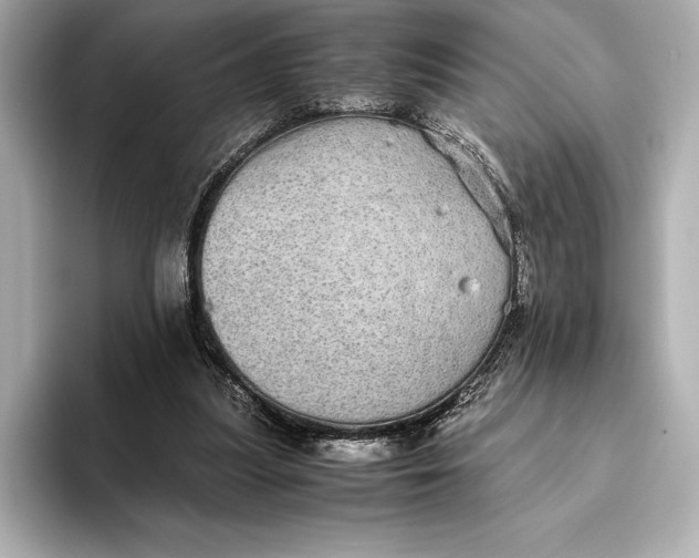 X0000093530251200711021316