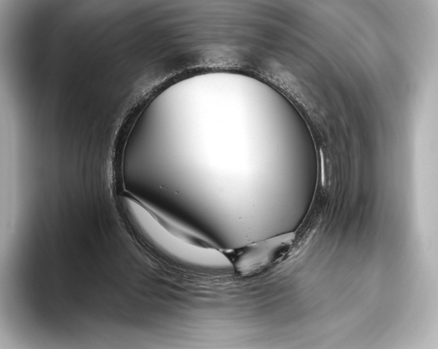 X0000093530252200711021316