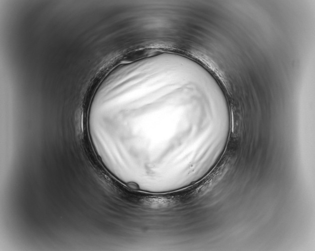 X0000093530253200711021316