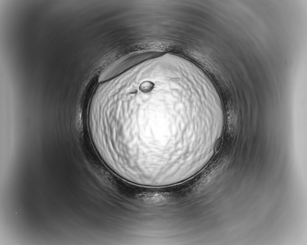 X0000093530254200711021316