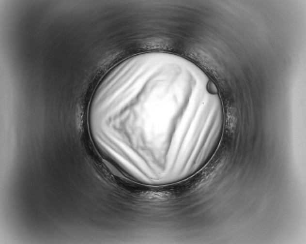 X0000093530255200711021316