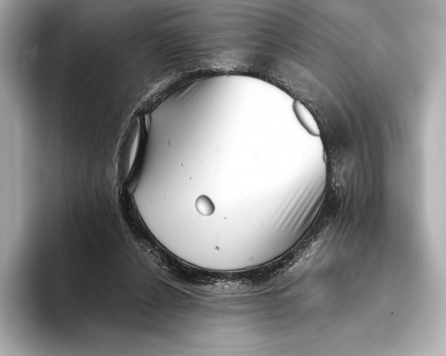 X0000093530256200711021316