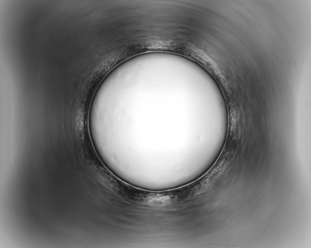 X0000093530257200711021316