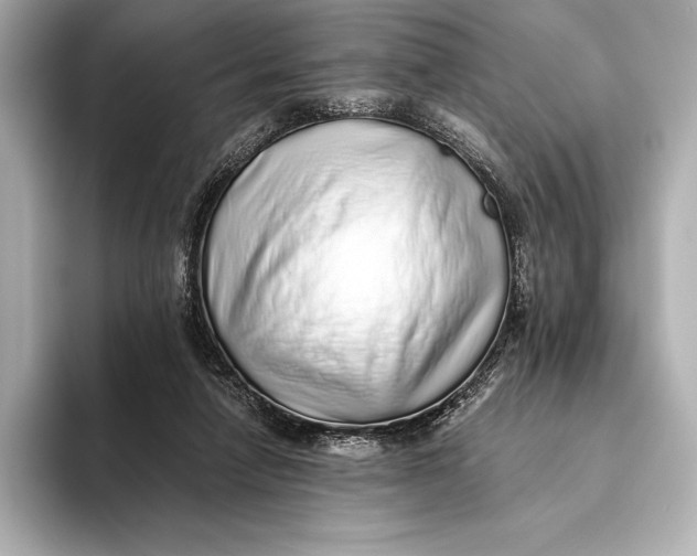 X0000093530258200711021316