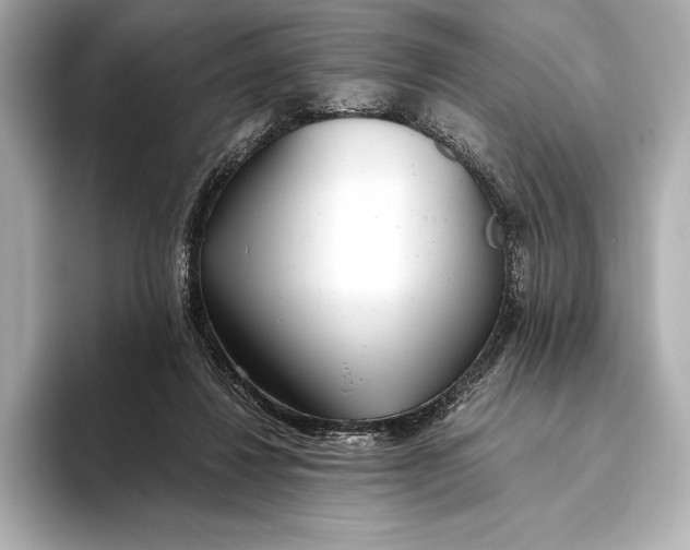 X0000093530260200711021316