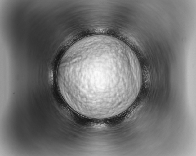 X0000093530262200711021316