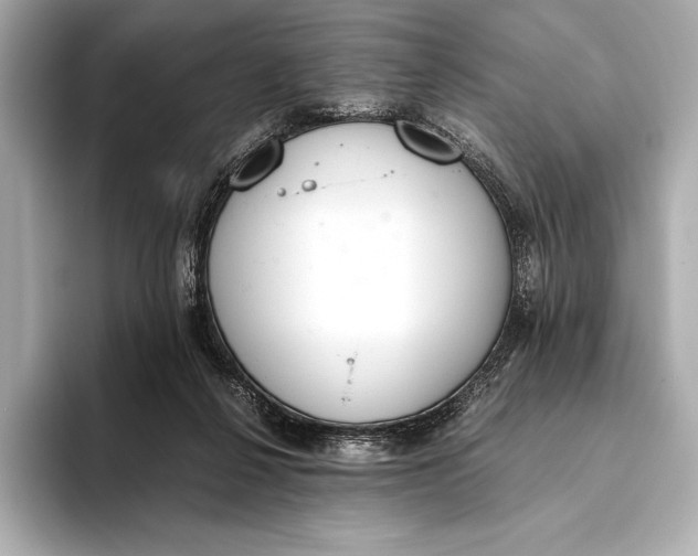 X0000093530264200711021316