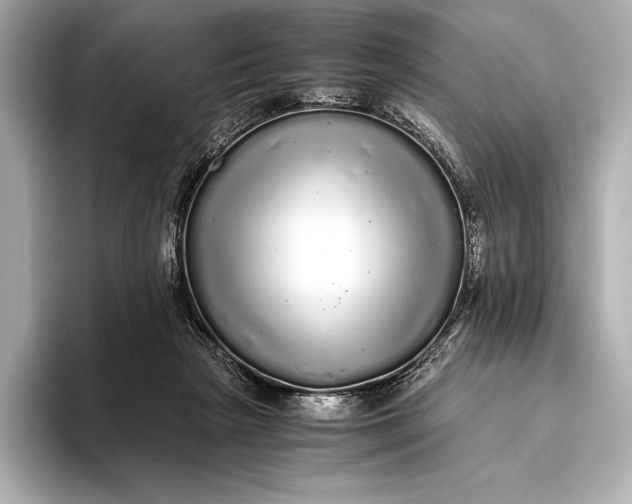 X0000093530265200711021316