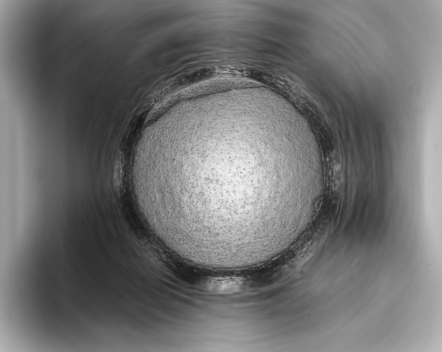 X0000093530266200711021316