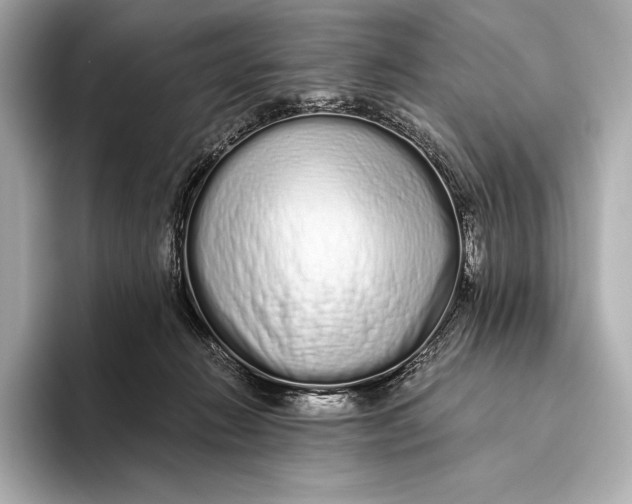 X0000093530270200711021316