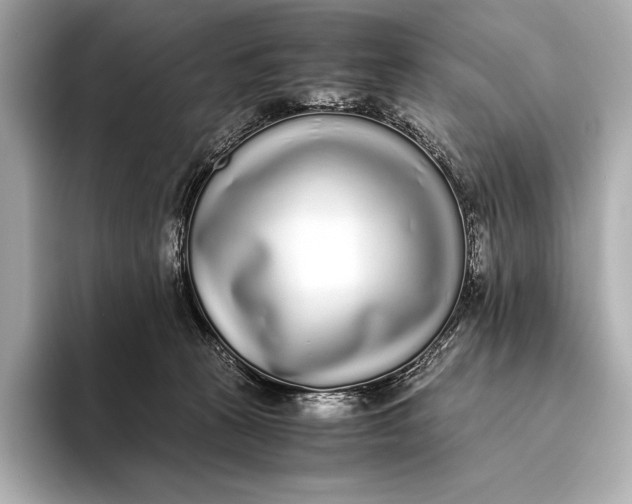 X0000093530273200711021316