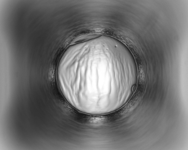 X0000093530274200711021316