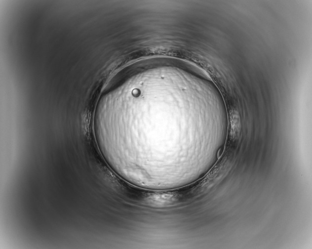 X0000093530278200711021316