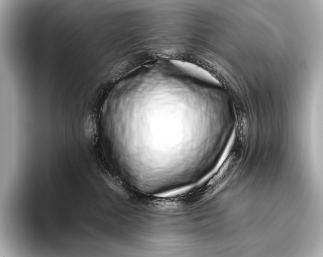 X0000093530284200711021316