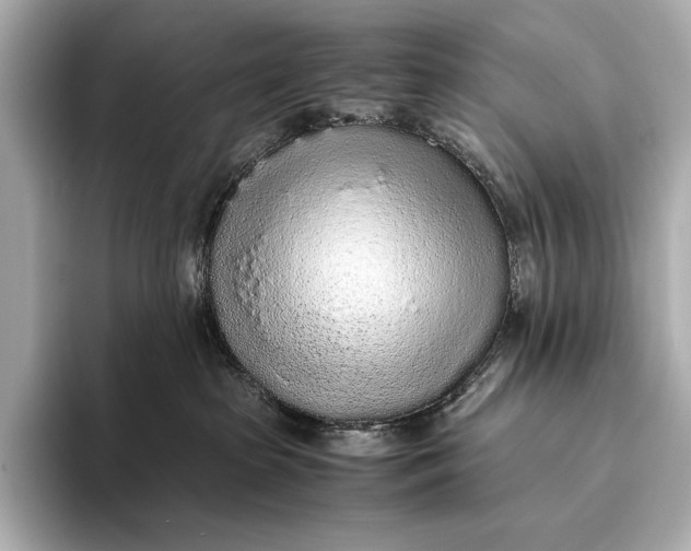 X0000093530285200711021316