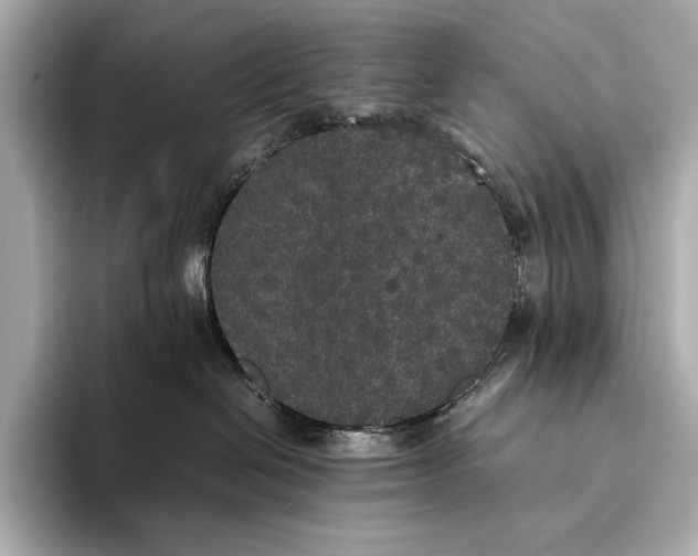 X0000093530286200711021316