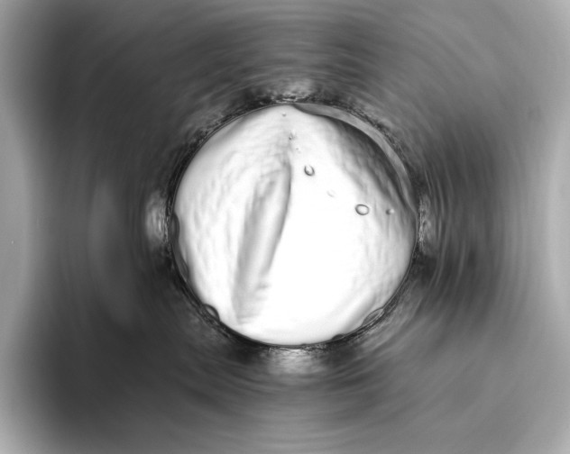 X0000093530287200711021316