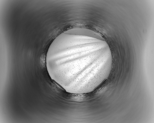 X0000093530288200711021316