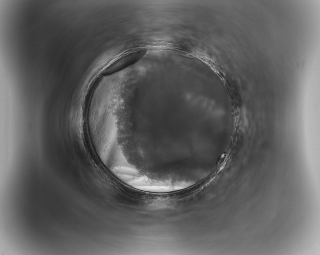 X0000093530293200711021315