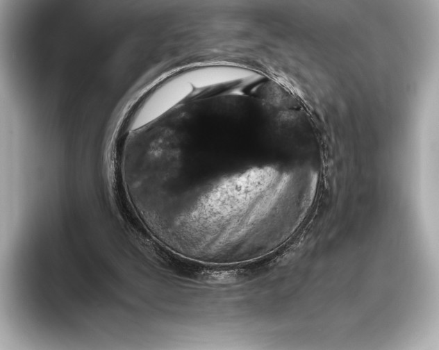 X0000093530295200711021315