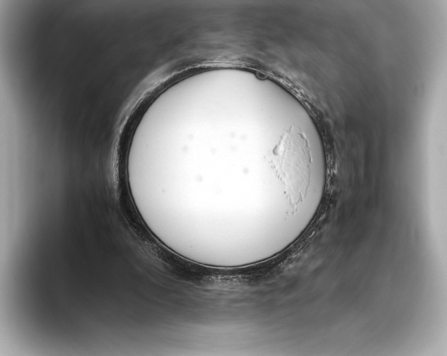 X0000093530296200711021315