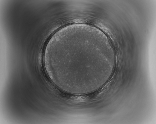 X0000093530297200711021315