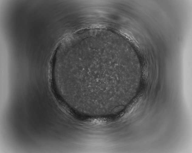 X0000093530303200711021315