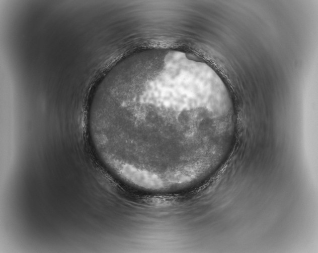 X0000093530305200711021315